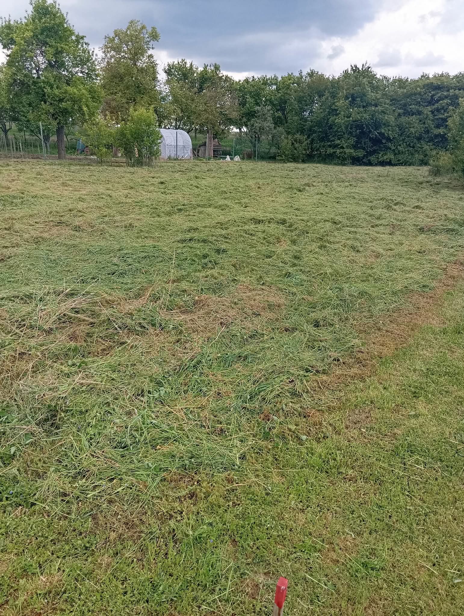 Vyklízení objektů